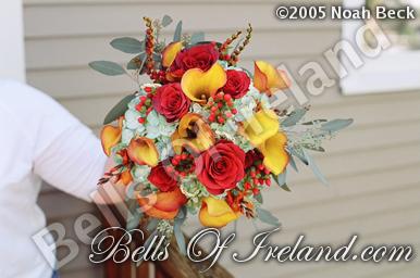 boi-mid05_pic-062