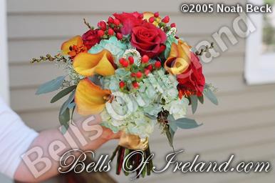 boi-mid05_pic-065