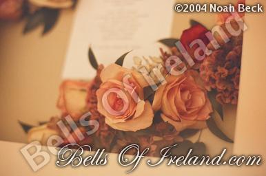 boi_dried-invite-frame-4
