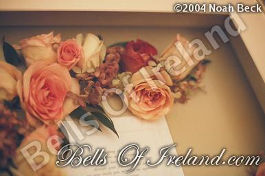 boi_dried-invite-frame-6