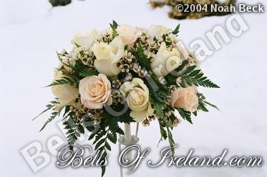 boi_misc-arrangements-1