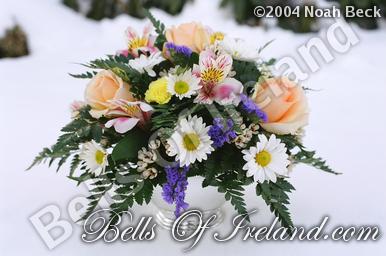 boi_misc-arrangements-10