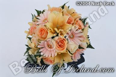 boi_misc-arrangements-4
