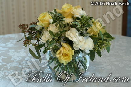 boi_2006-pic-006