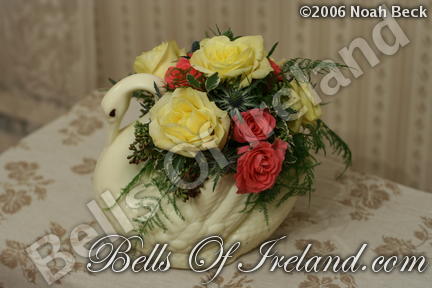 boi_2006-pic-008