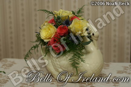 boi_2006-pic-011