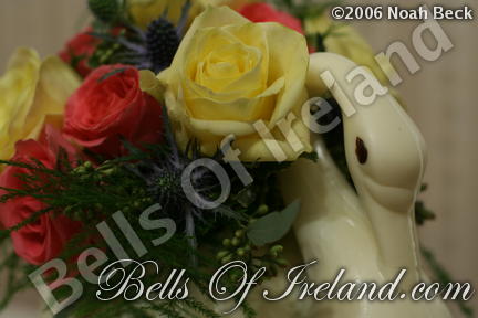 boi_2006-pic-014
