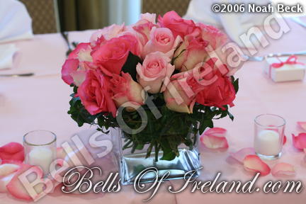 boi_2006b-pic-056