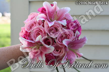 boi_2006b-pic-094