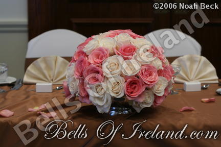 boi_2006b-pic-129