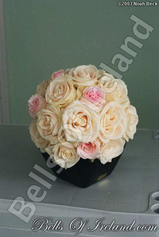 bells-of-ireland-woburn_flowers-14
