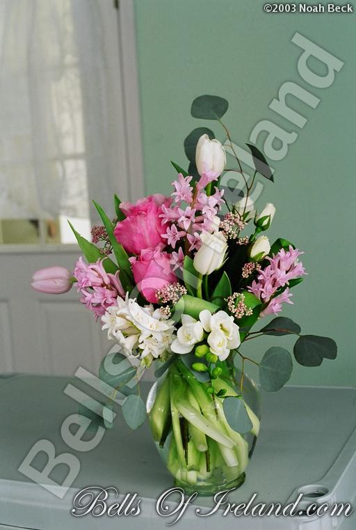 bells-of-ireland-woburn_flowers-7