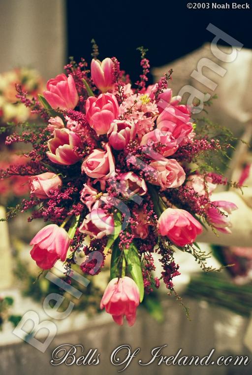 bells-of-ireland_flowers-3