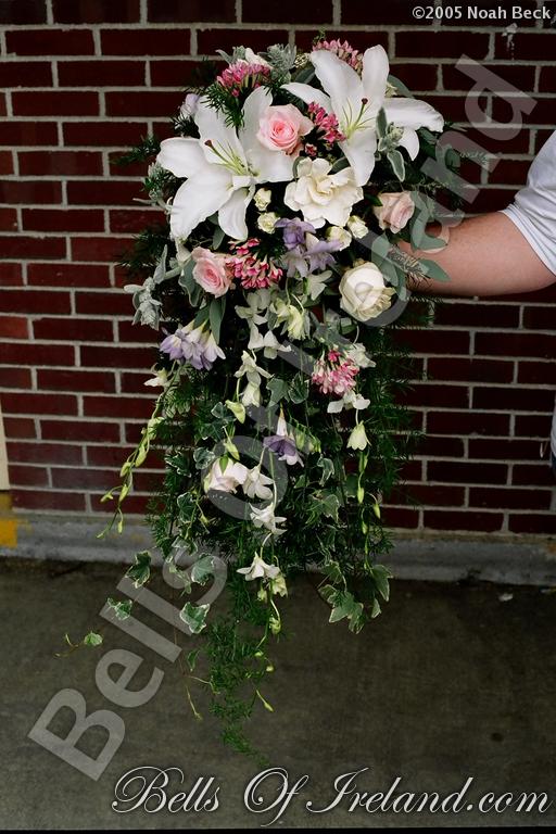 boi-late04-1half05_pic-095