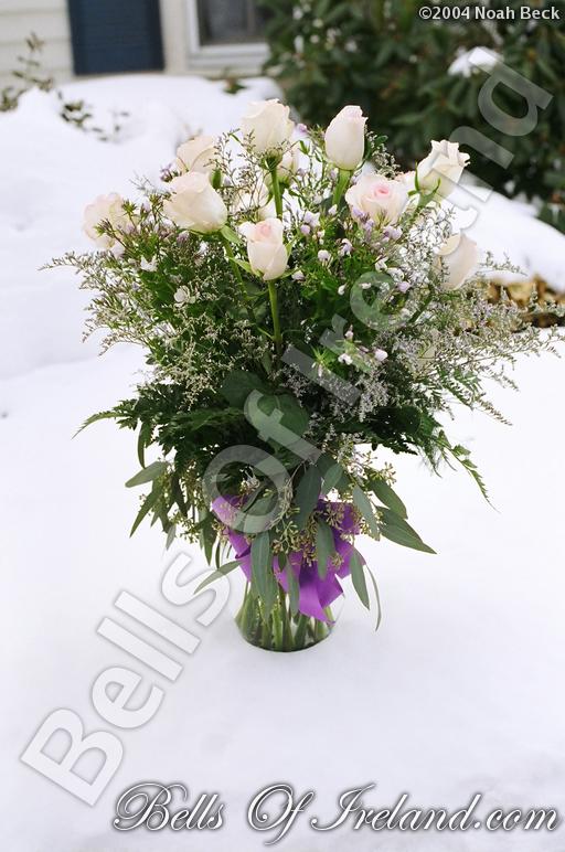 boi_misc-arrangements-12