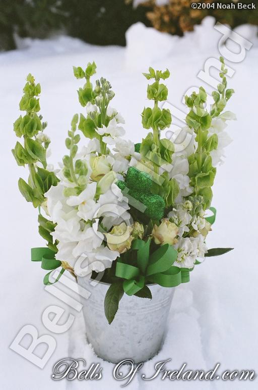 boi_misc-arrangements-7