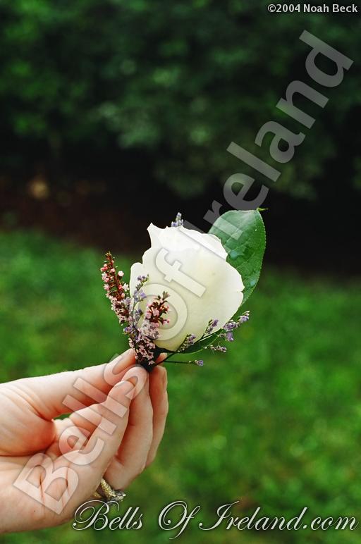 boi_sprsum04-pic076