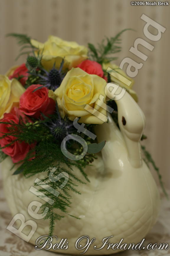 boi_2006-pic-012