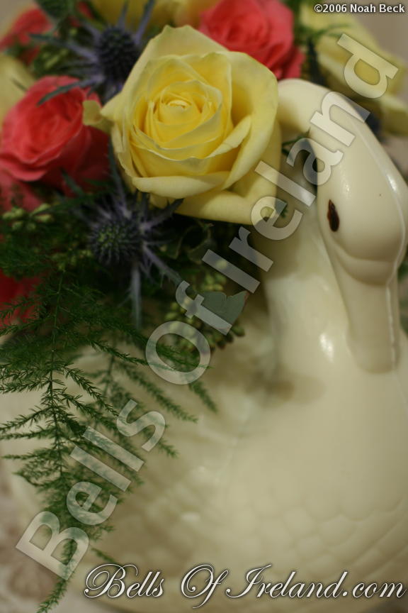boi_2006-pic-013