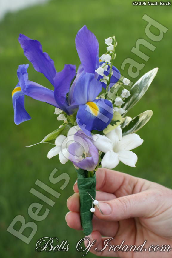 boi_2006b-pic-034