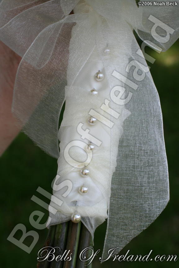 boi_2006b-pic-054
