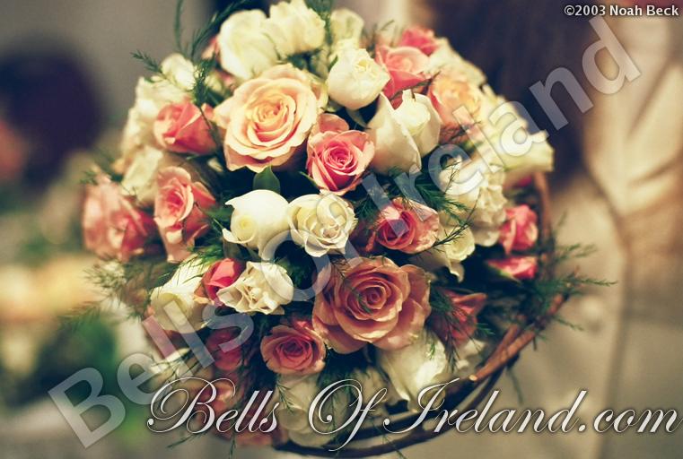 bells-of-ireland_flowers-1
