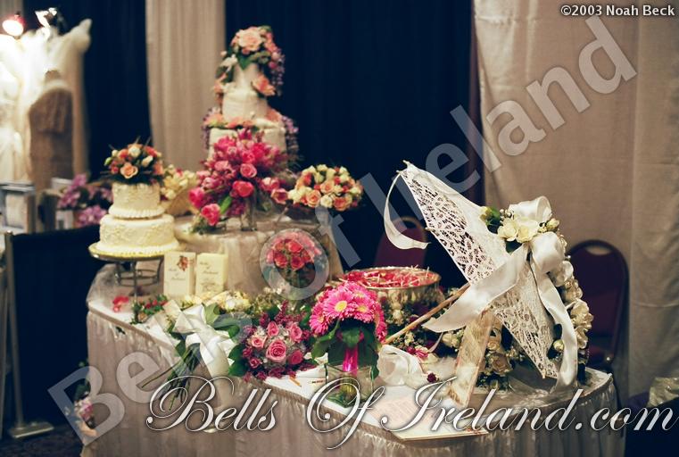 bells-of-ireland_flowers-12