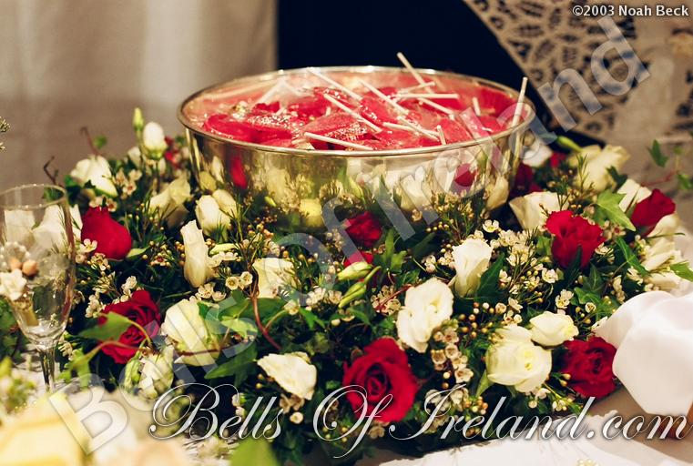 bells-of-ireland_flowers-15