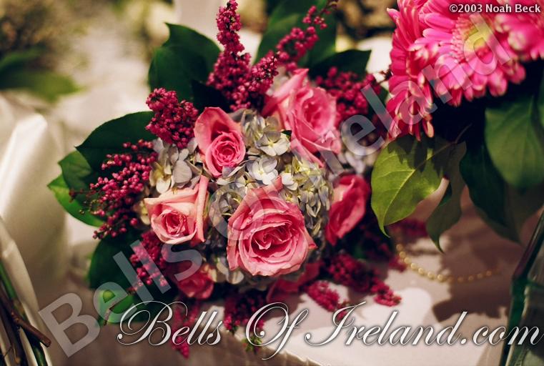 bells-of-ireland_flowers-16