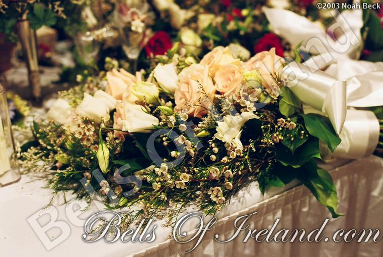 bells-of-ireland_flowers-18