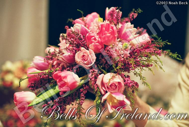 bells-of-ireland_flowers-2
