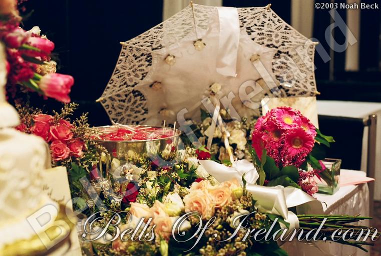 bells-of-ireland_flowers-20