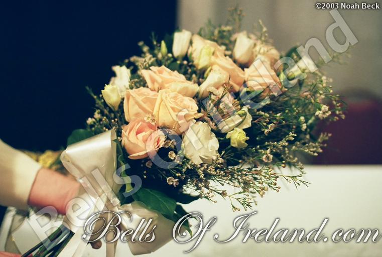 bells-of-ireland_flowers-6