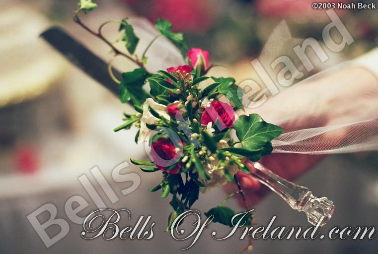 bells-of-ireland_flowers-8