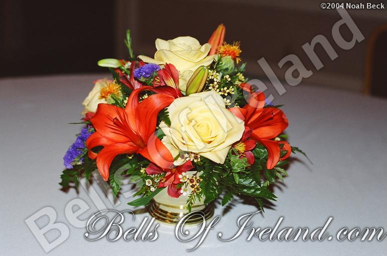 boi-fall04_pic-42