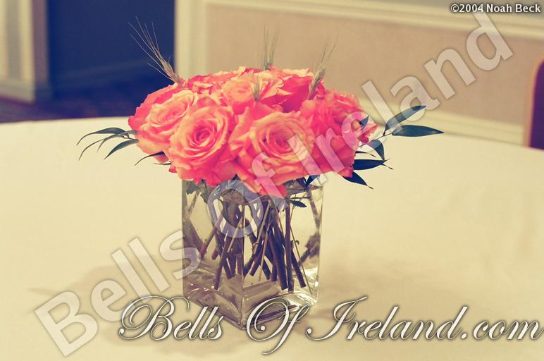 boi-fall04_pic-43