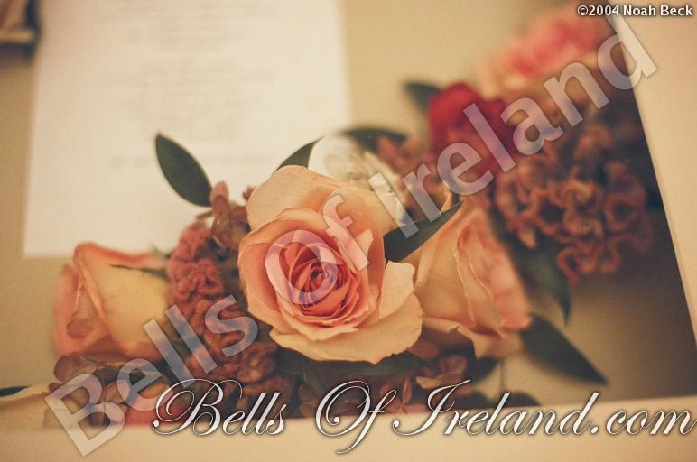 boi_dried-invite-frame-3