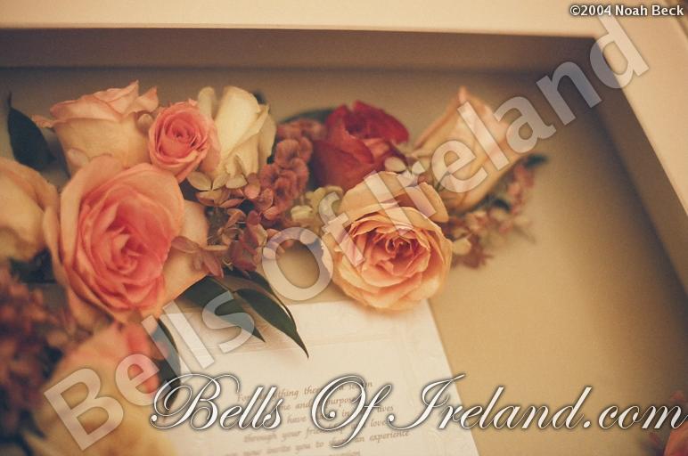 boi_dried-invite-frame-6