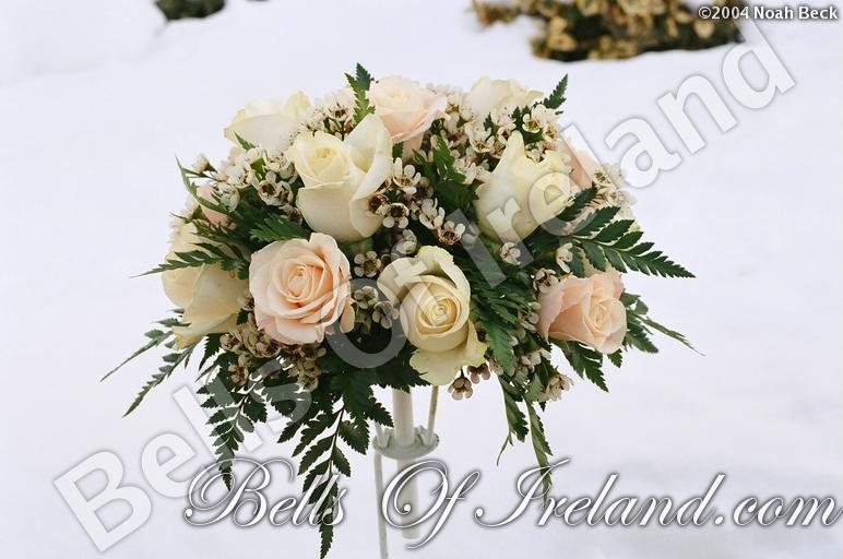boi_misc-arrangements-1
