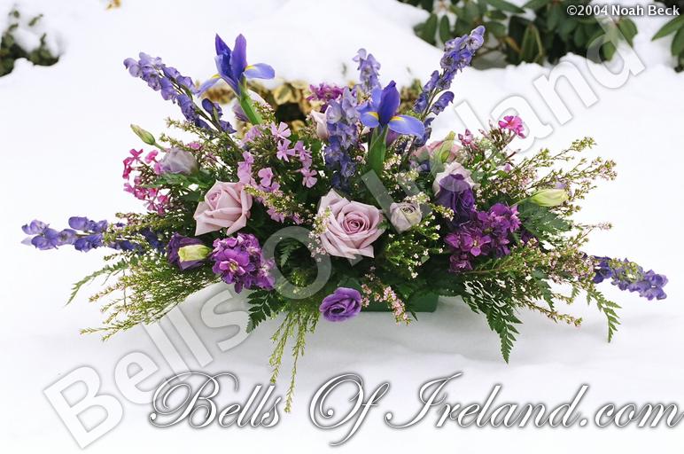 boi_misc-arrangements-14