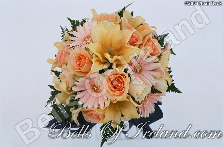 boi_misc-arrangements-4