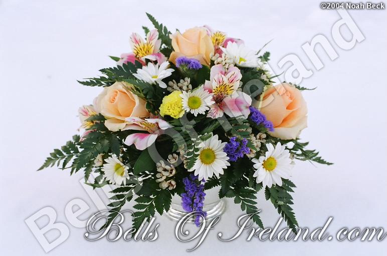 boi_misc-arrangements-9