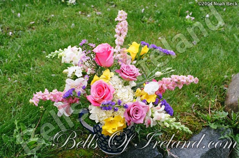boi_sprsum04-pic060