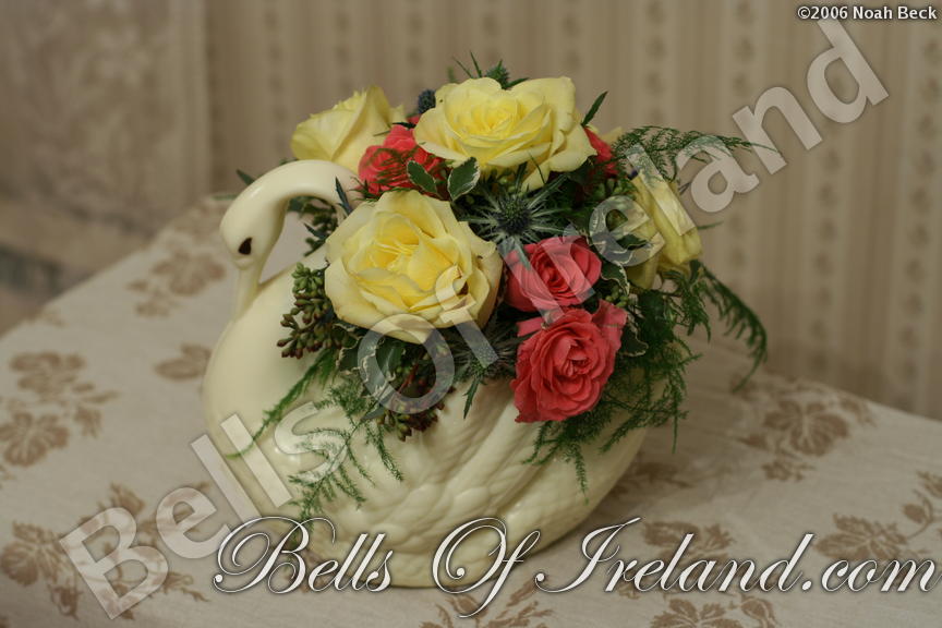 boi_2006-pic-008