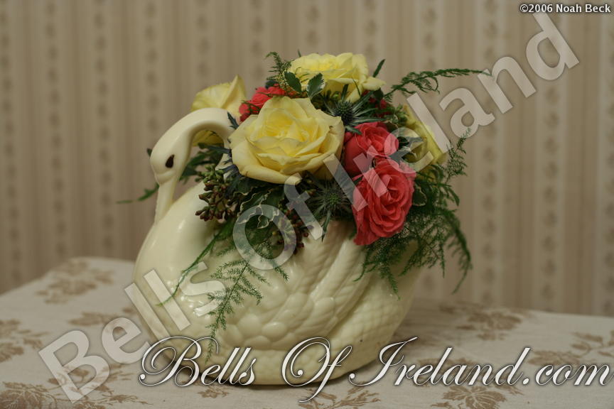 boi_2006-pic-009
