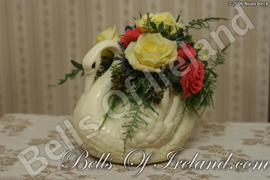 boi_2006-pic-010
