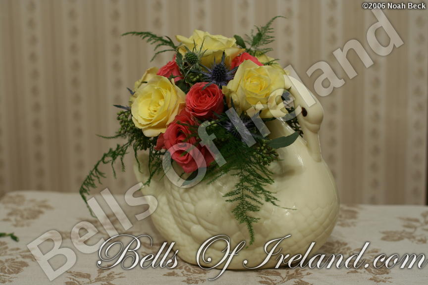 boi_2006-pic-011