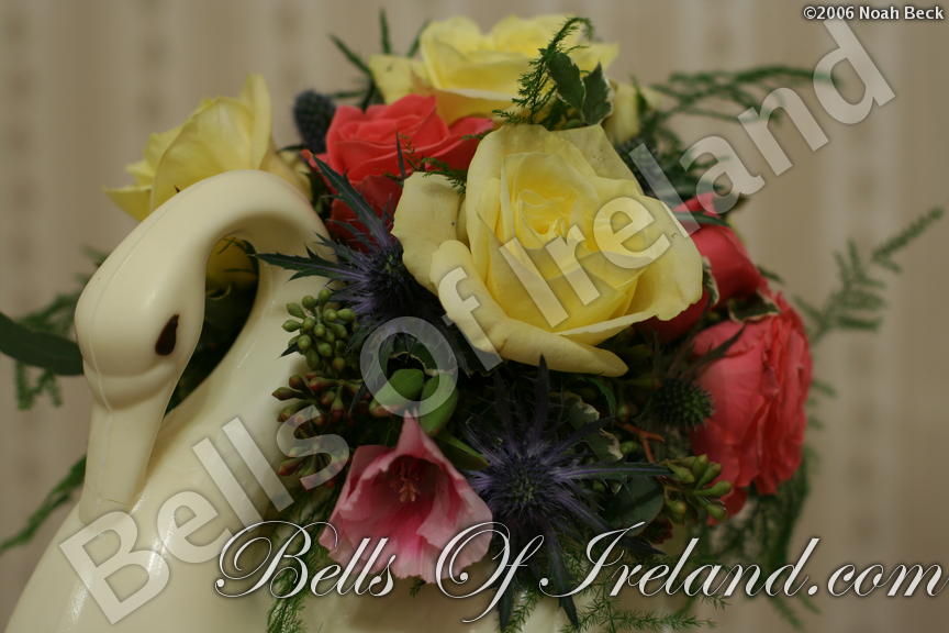 boi_2006-pic-018