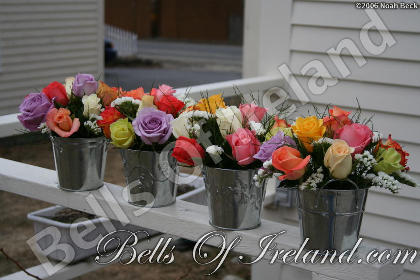 boi_2006b-pic-003