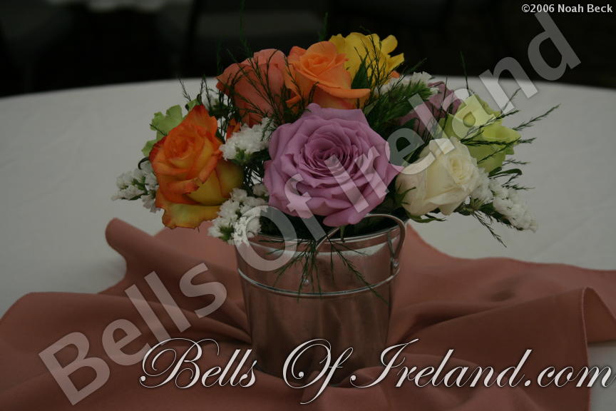boi_2006b-pic-005